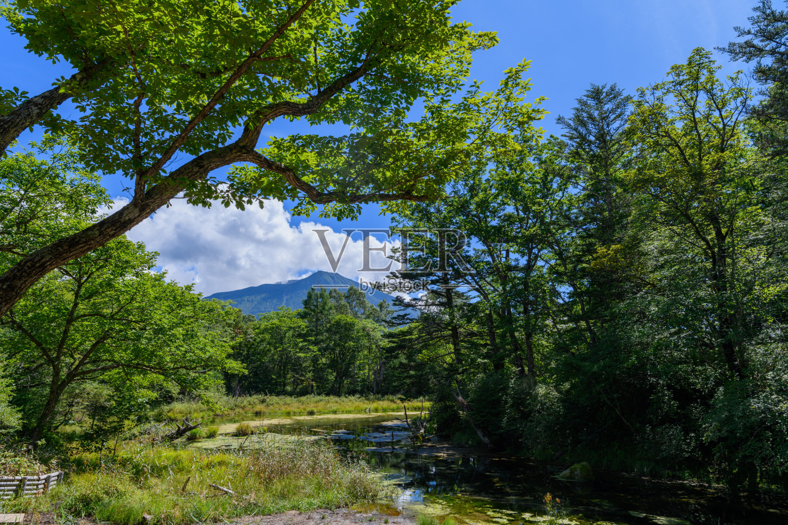 日光国家公园的南台山和泉水宫斗池照片摄影图片