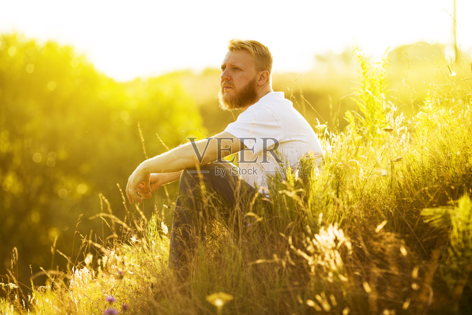 长胡子的男人坐在草地上眺望远方照片摄影图片