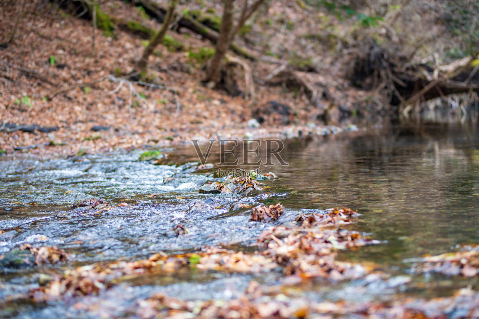 日本著名的池池泉水照片摄影图片