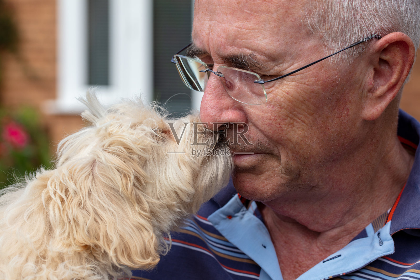 早恋照片摄影图片