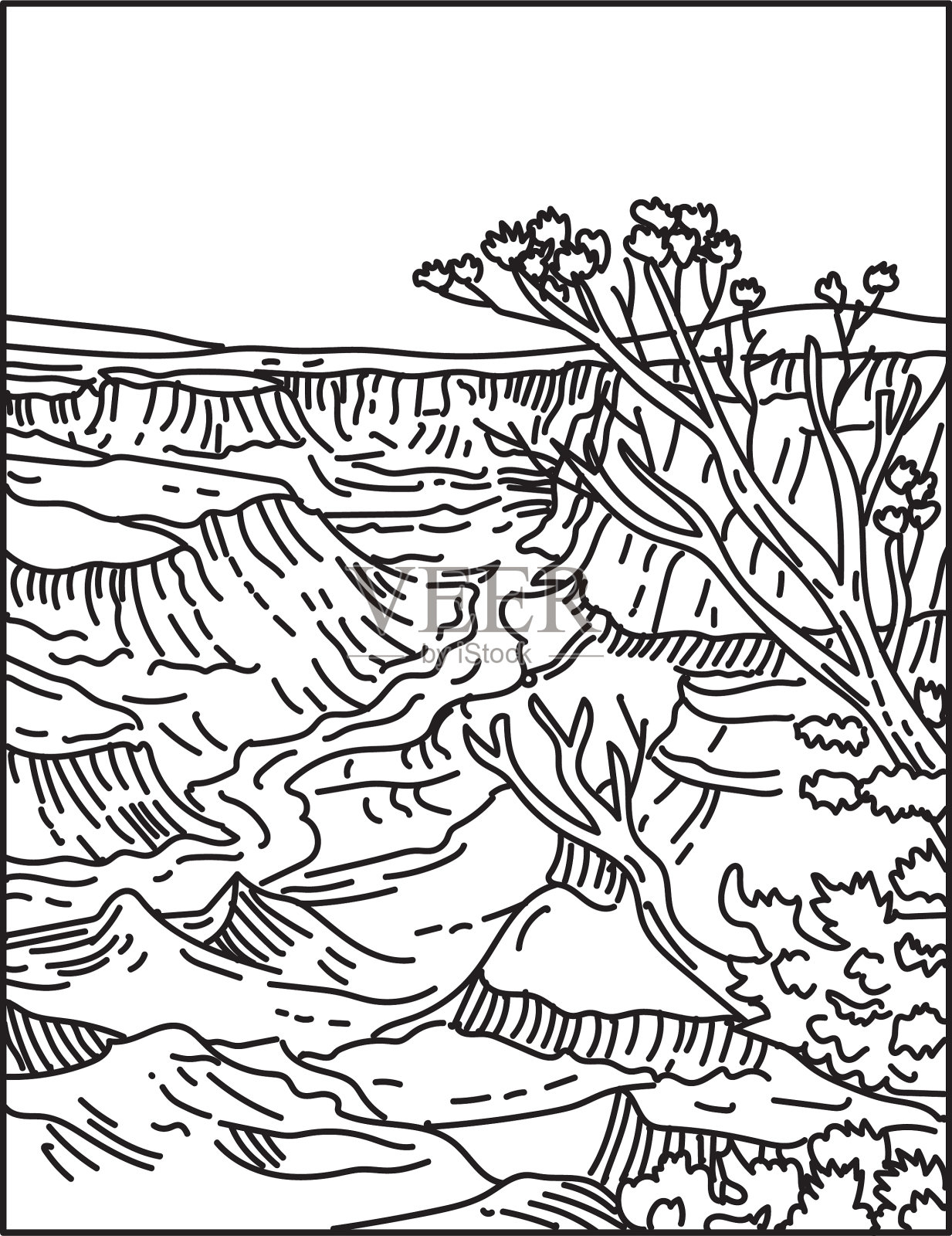 大峡谷国家公园与分层带插画图片素材