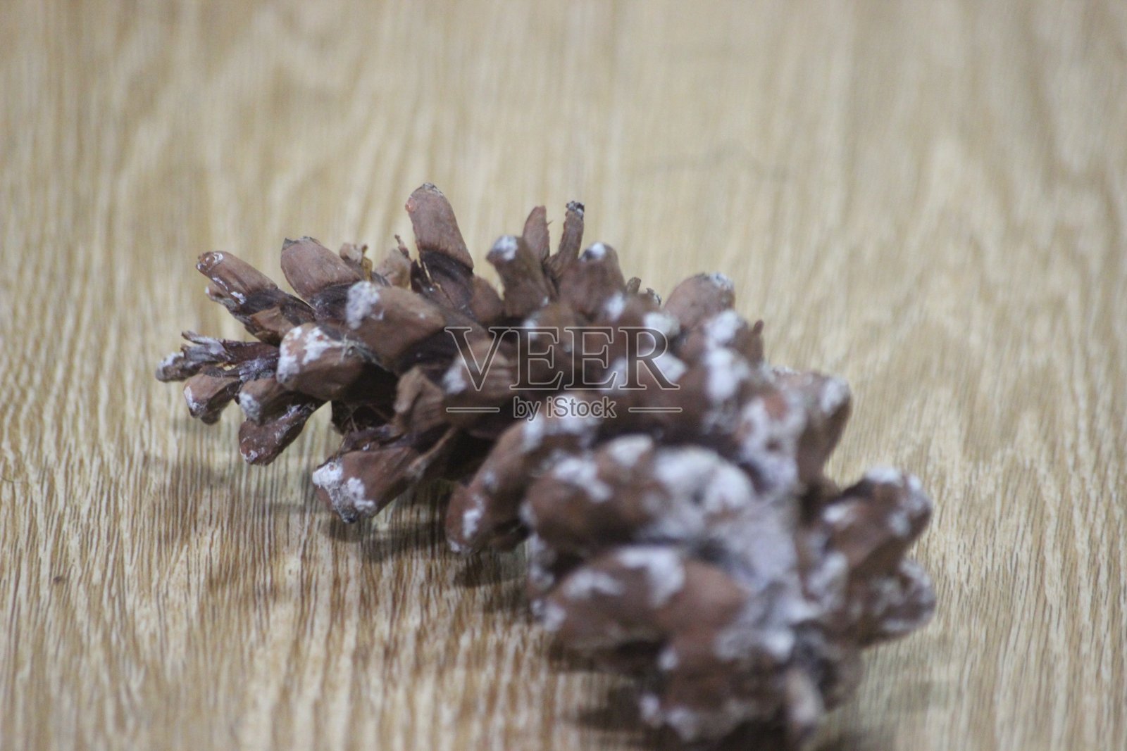 松果在木地板背景上的特写照片摄影图片