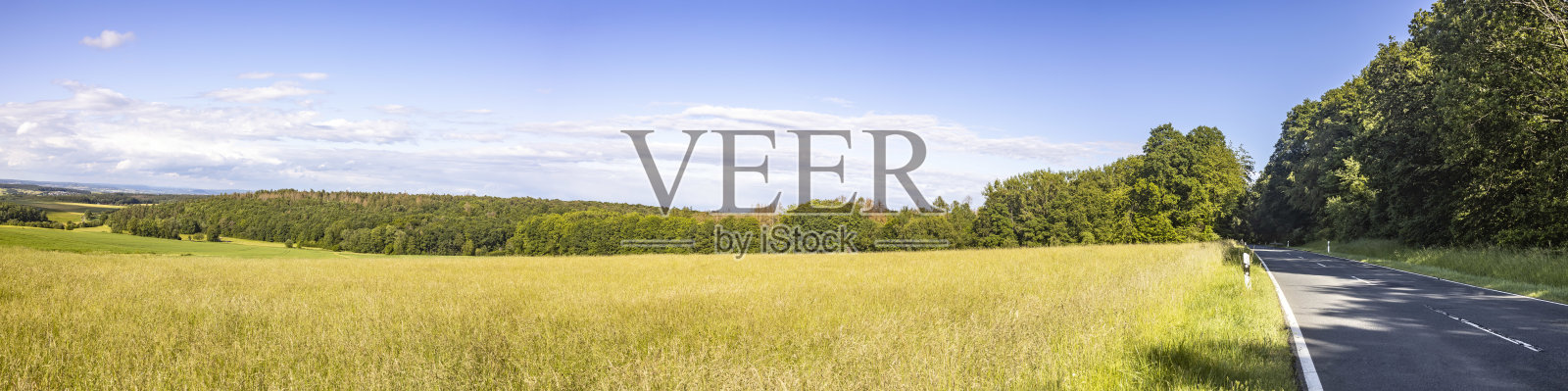 草地上田园诗般的全景照片摄影图片