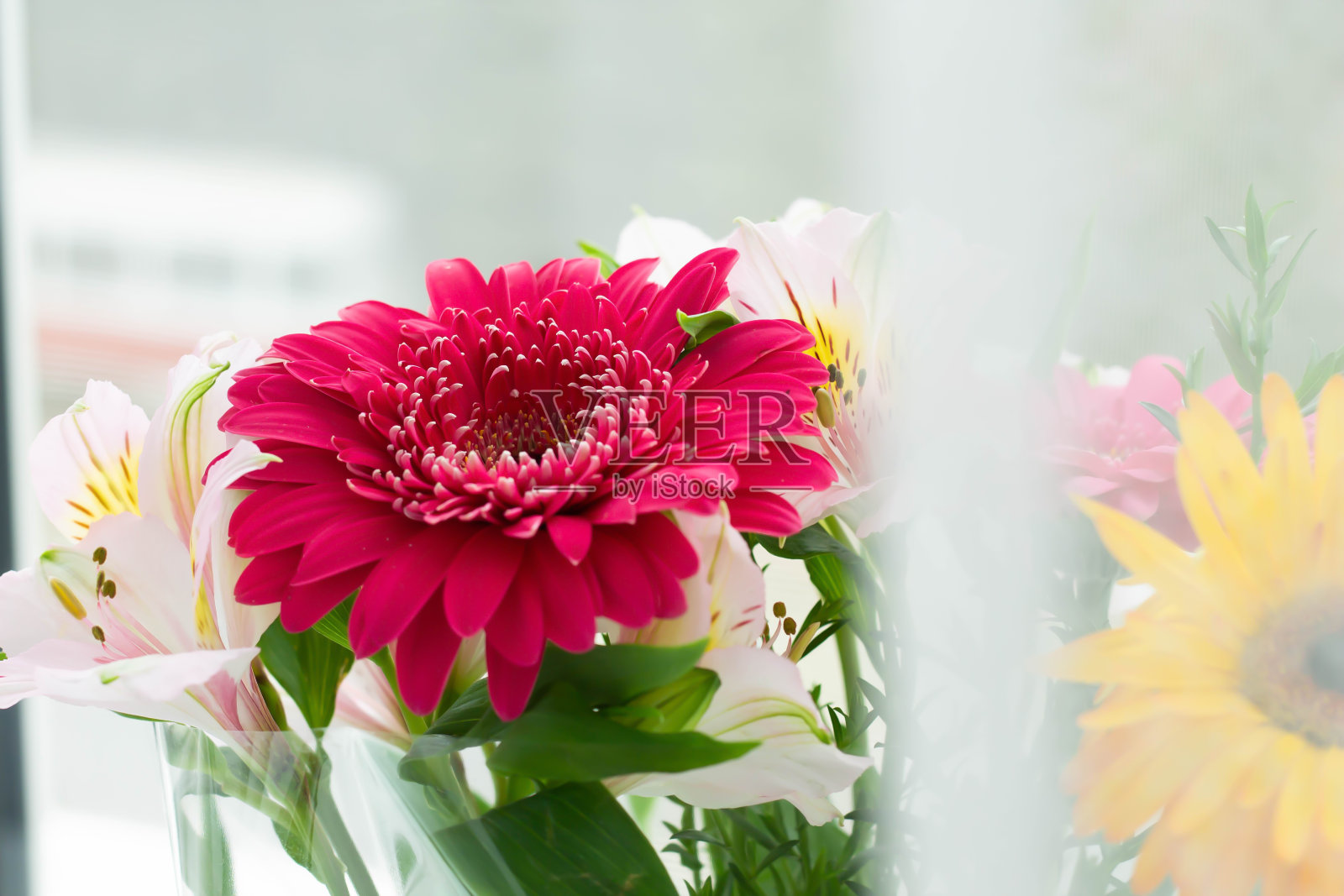 3月8日的节日花束。国际妇女节。妈妈的节日照片摄影图片