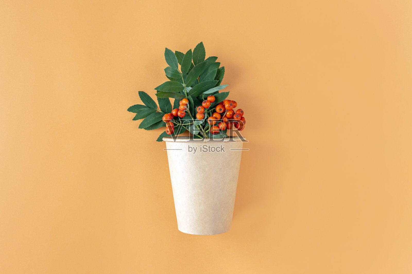 秋天的构图与环保纸杯和花楸束在橙色的背景。简约、时尚、创意的秋季静物画。平铺，复制空间照片摄影图片
