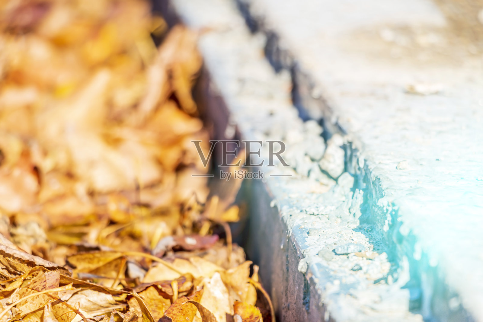 秋叶铺在人行道上。秋天的风景，森林里橙色的树叶。模糊，模糊，特写。照片摄影图片