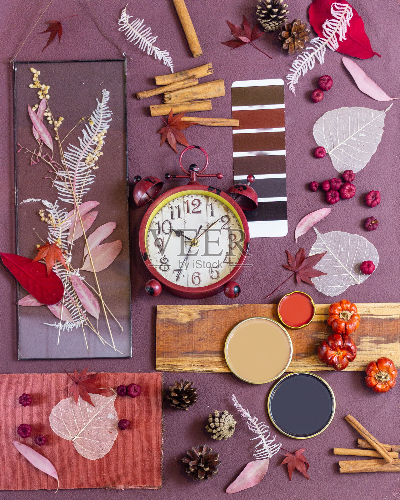 用于室内设计和装饰的调色板照片摄影图片