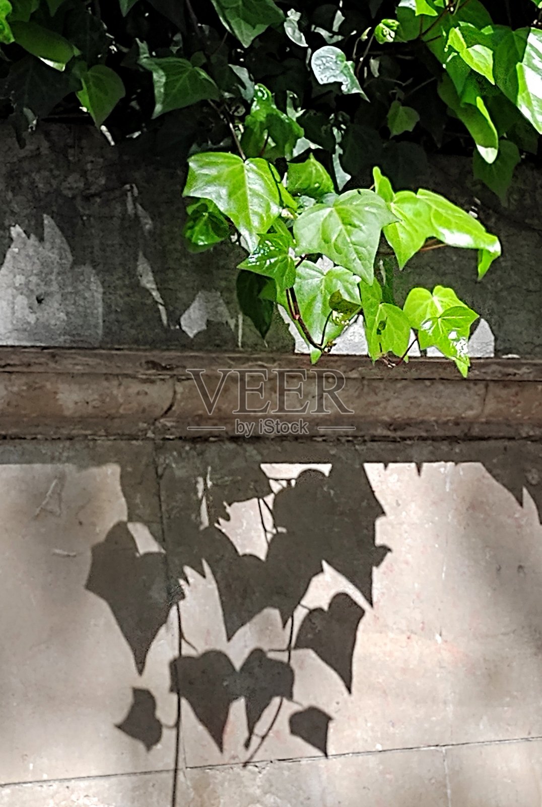 阴影照片摄影图片