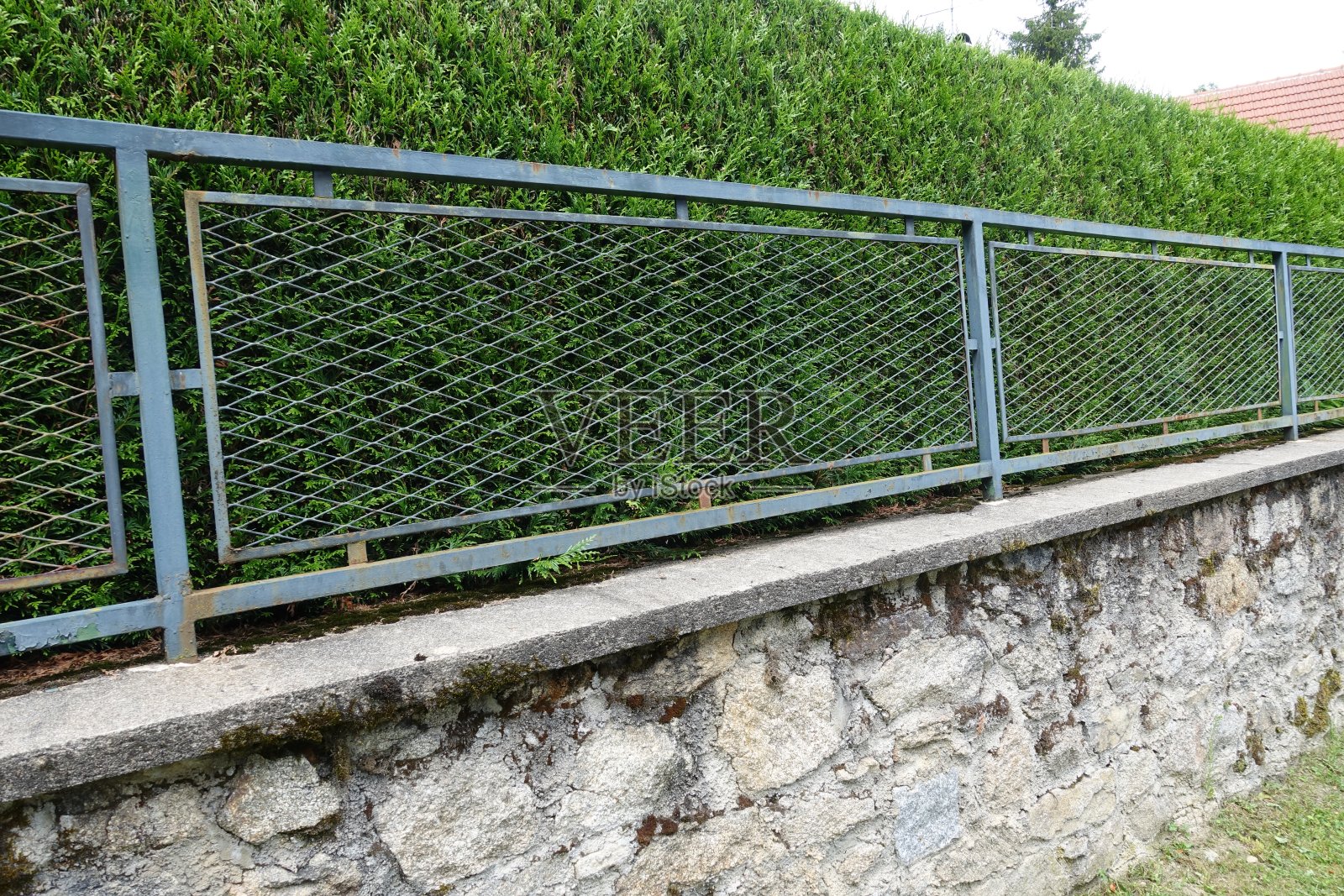 花园围栏由雪松树和安装在石墙上的金属格栅围合的花园照片摄影图片