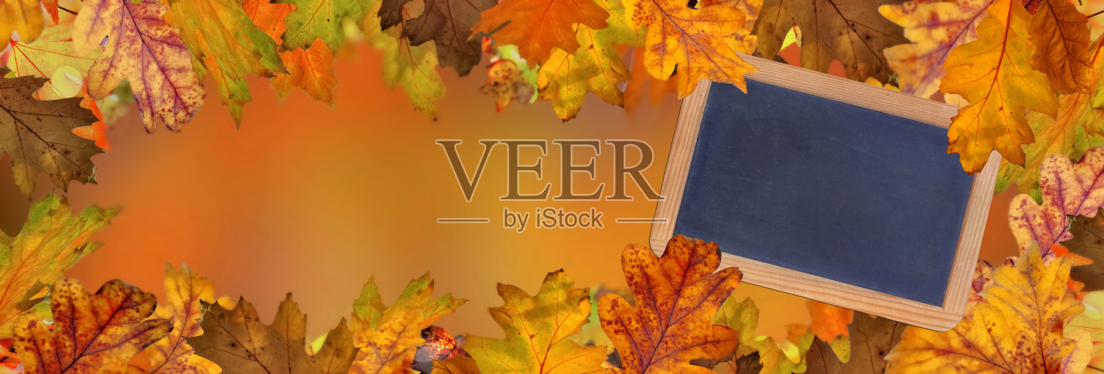 石板在秋天的背景与橡树的叶子照片摄影图片