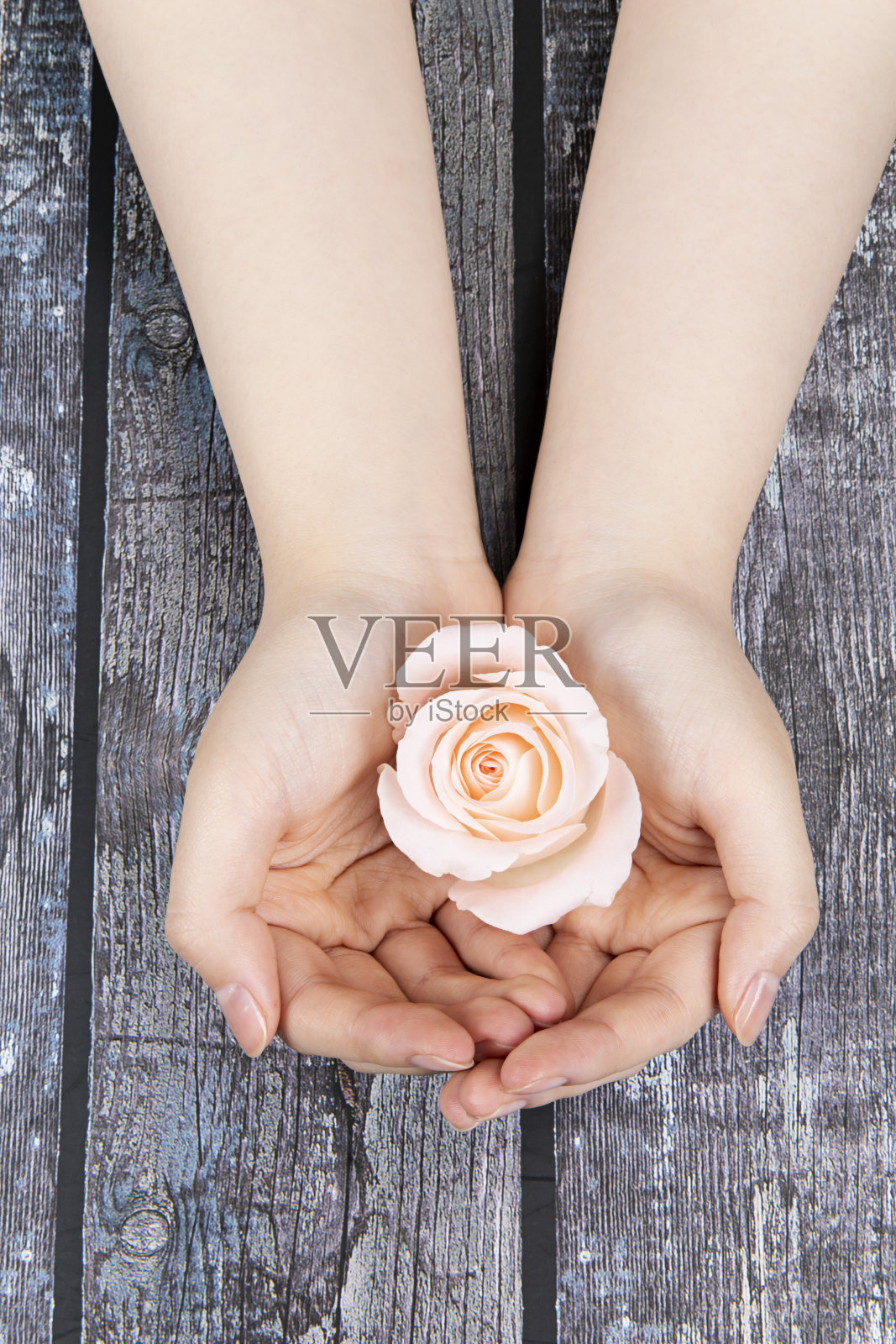 的成像照片摄影图片