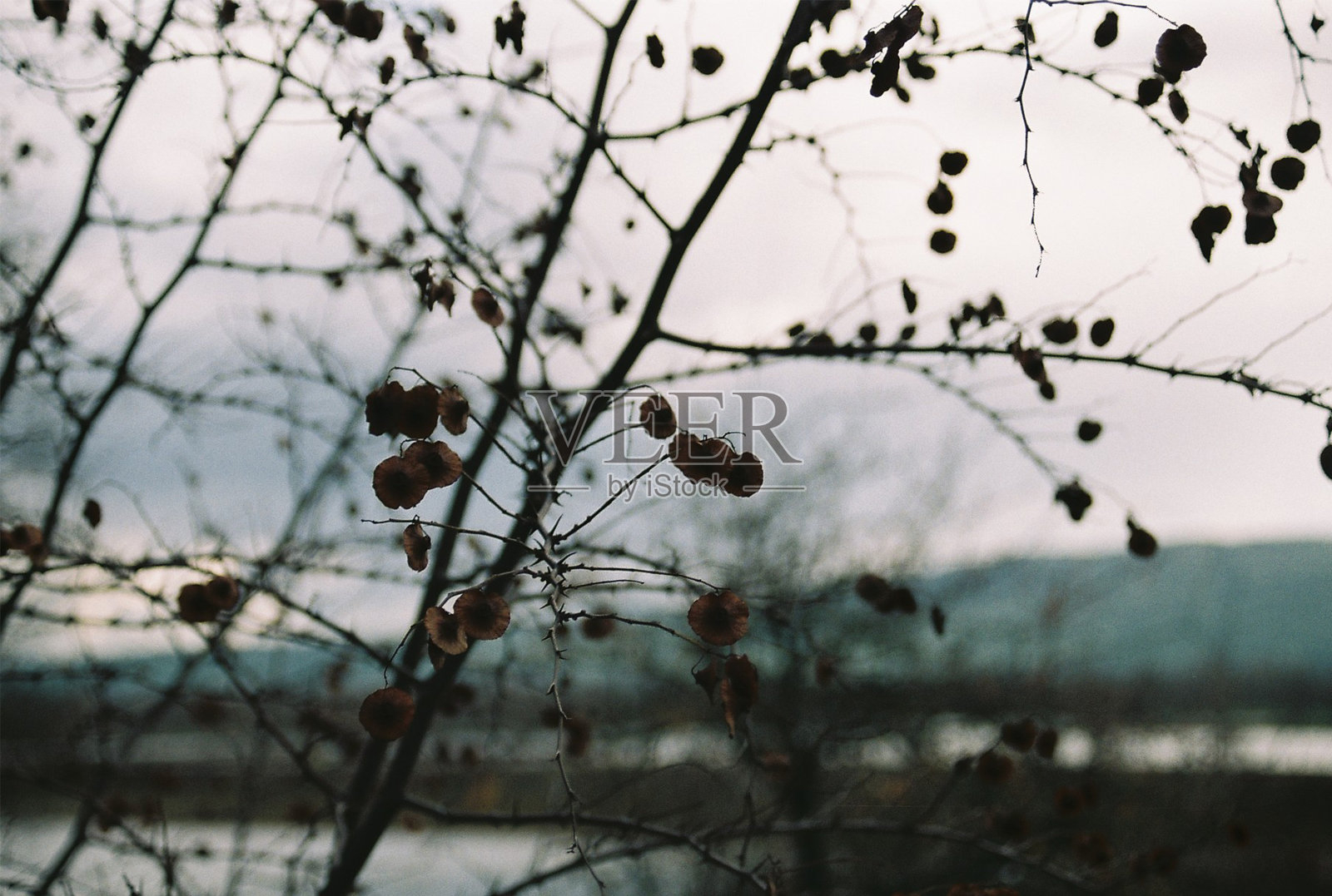 秋天模拟图照片摄影图片