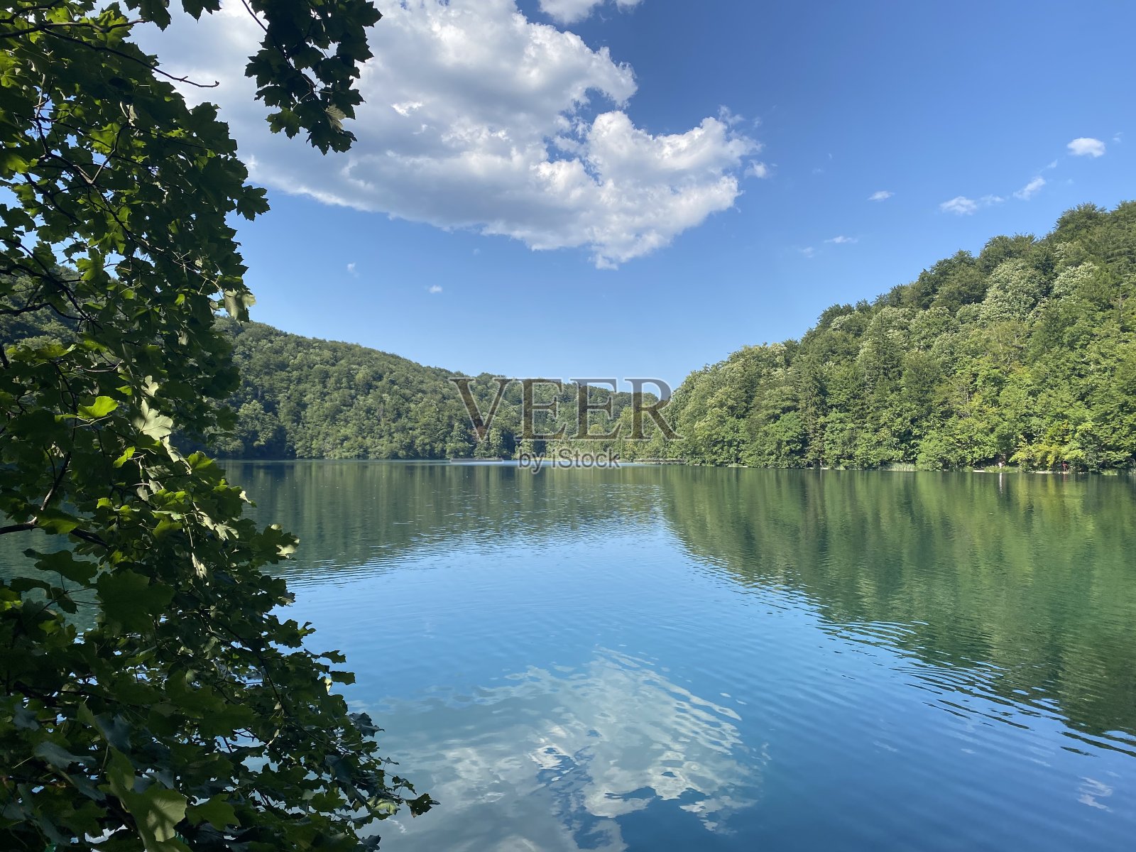 特照片摄影图片