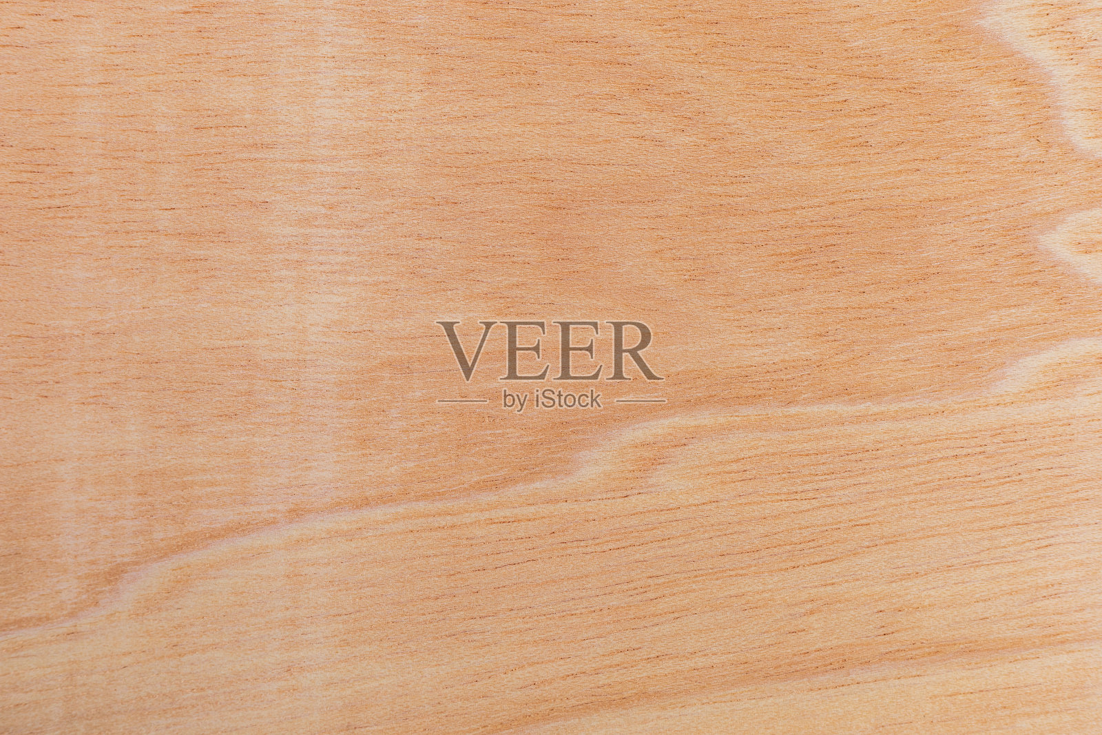 一种非洲树的轻、粗糙、有纹理的切割表面。木制背景或空白的设计照片摄影图片