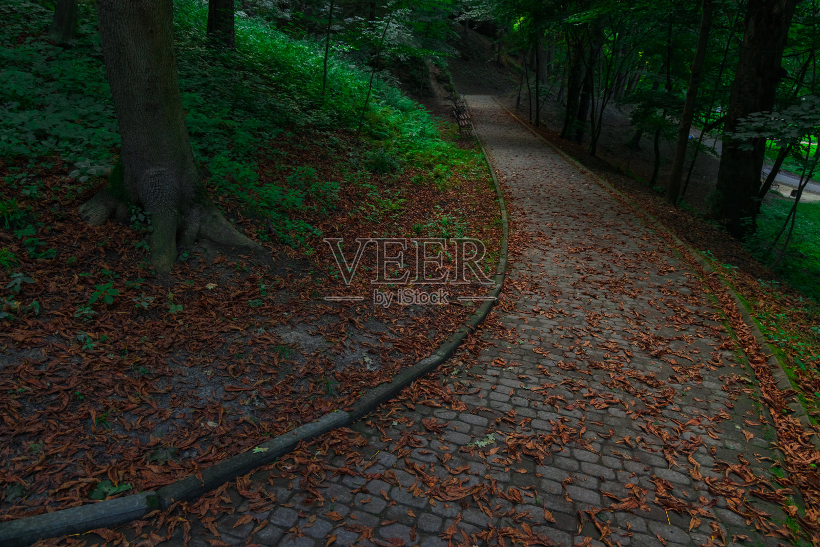9月底秋季公园室外弯弯曲曲的人行道步道和步道道面落叶地毯，气氛幽静无人照片摄影图片