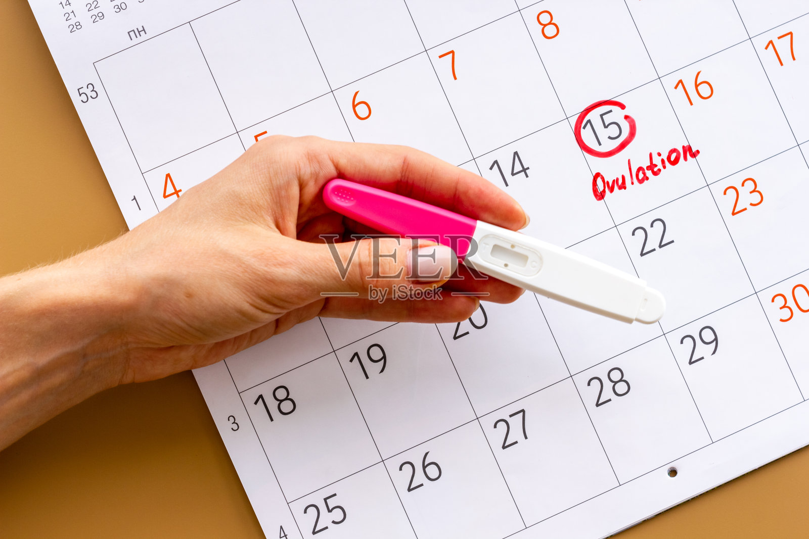 排卵家测在女性交历上有红色标记照片摄影图片