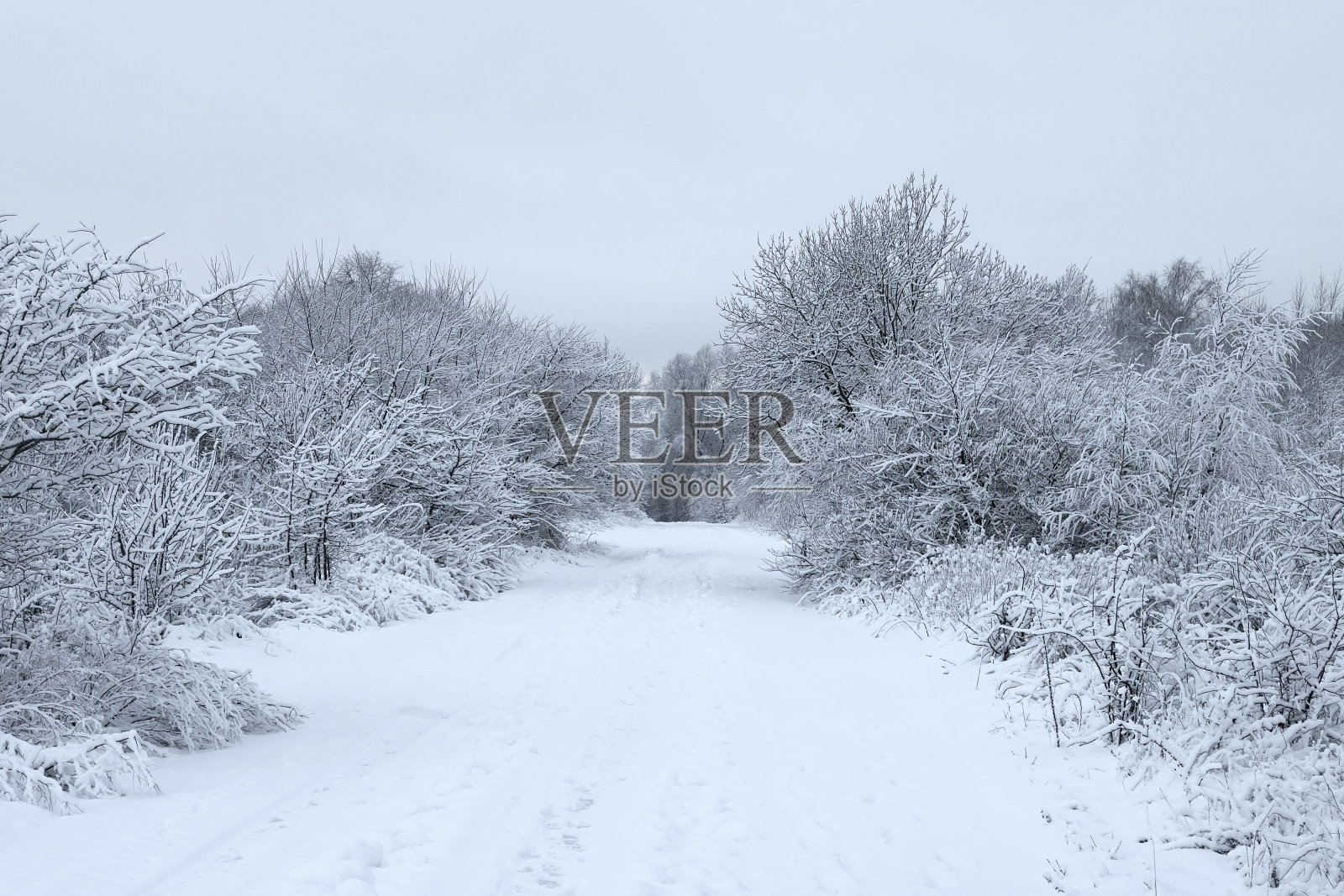 城市外的欧洲冬季景观。照片摄影图片