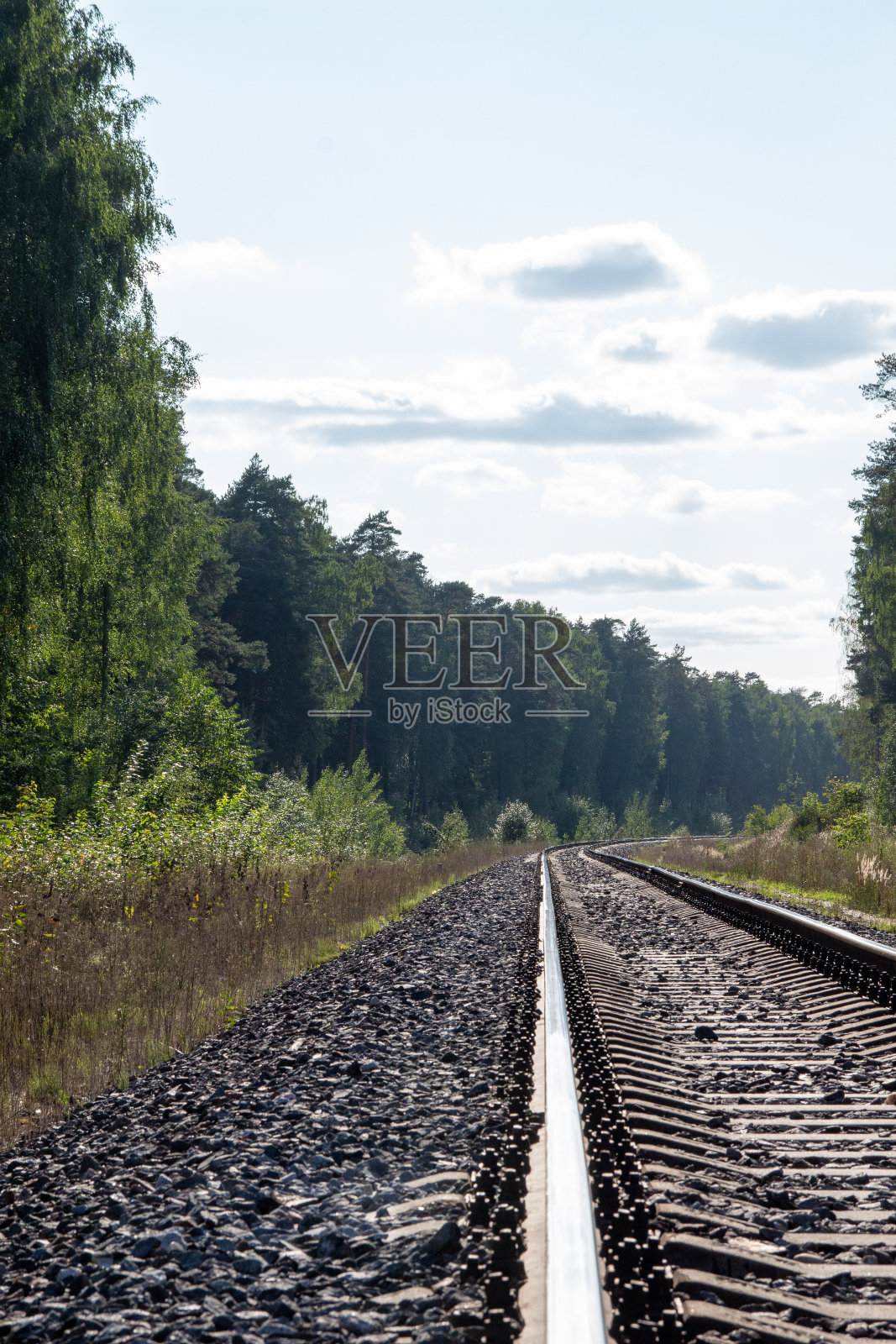 在阳光明媚的夏日，铁路在绿色的森林里照片摄影图片