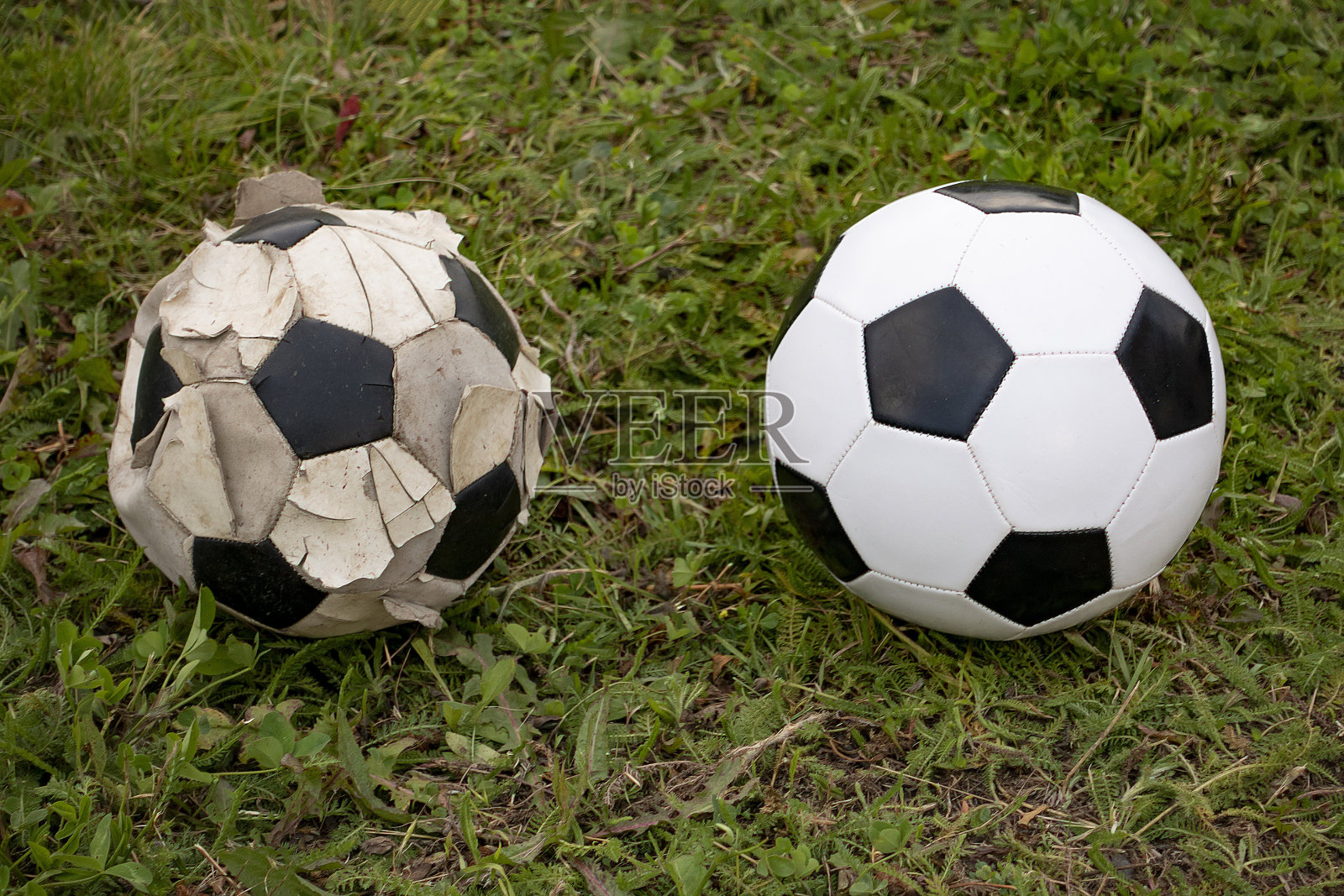绿色草地上的新旧足球(足球)照片摄影图片