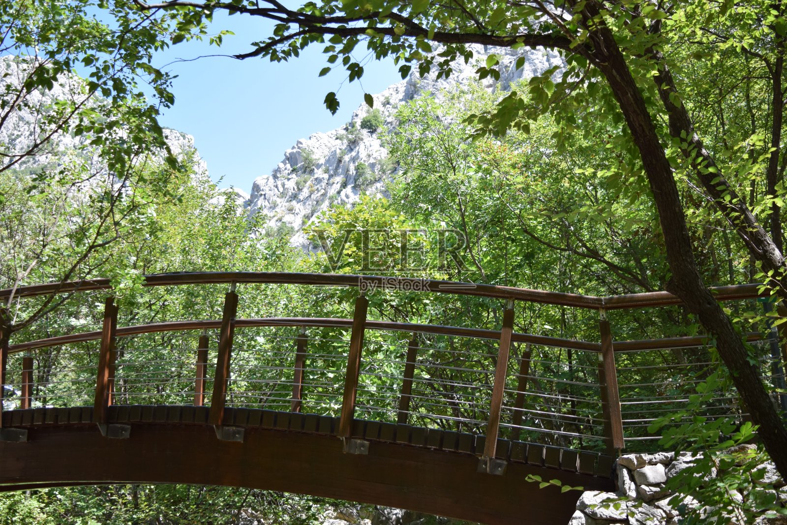 国家公园照片摄影图片