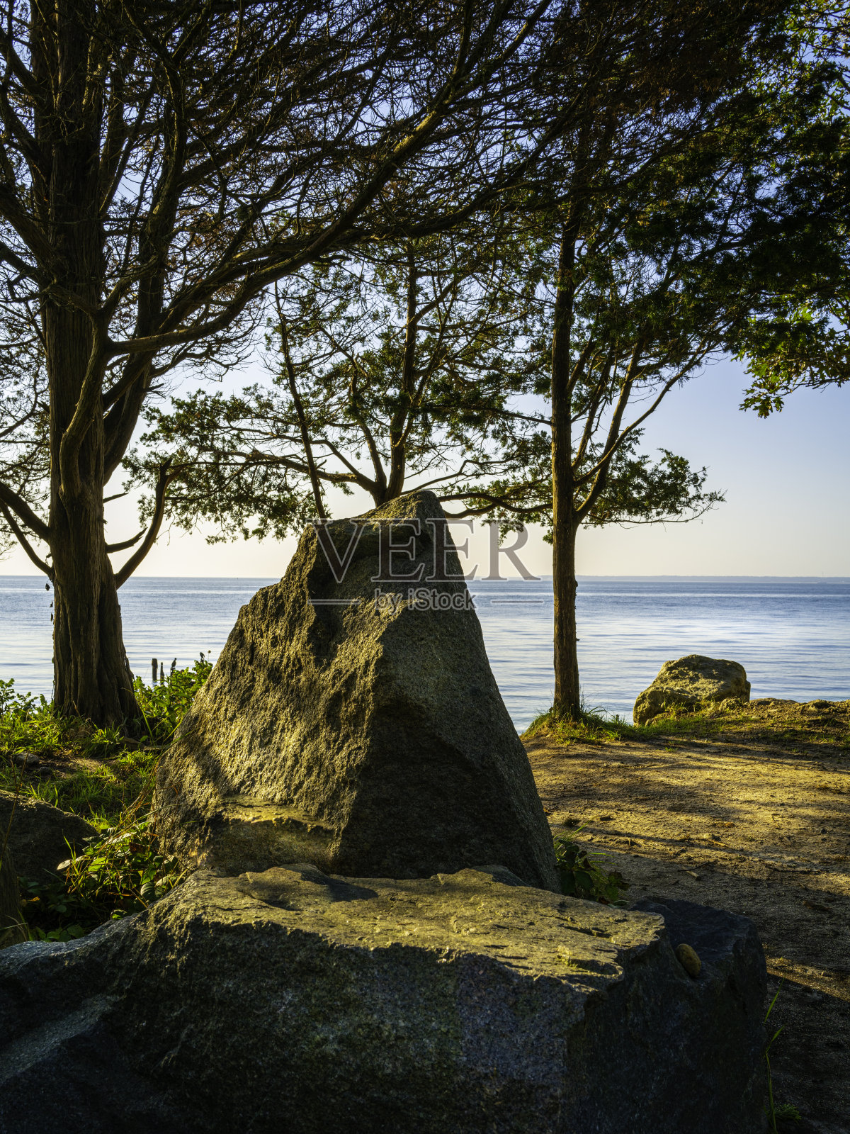 在可以看到大海的海滩上，在毛皮树下的岩石上进行禅坐。早晨的阳光照亮了山形的岩石和小径。照片摄影图片