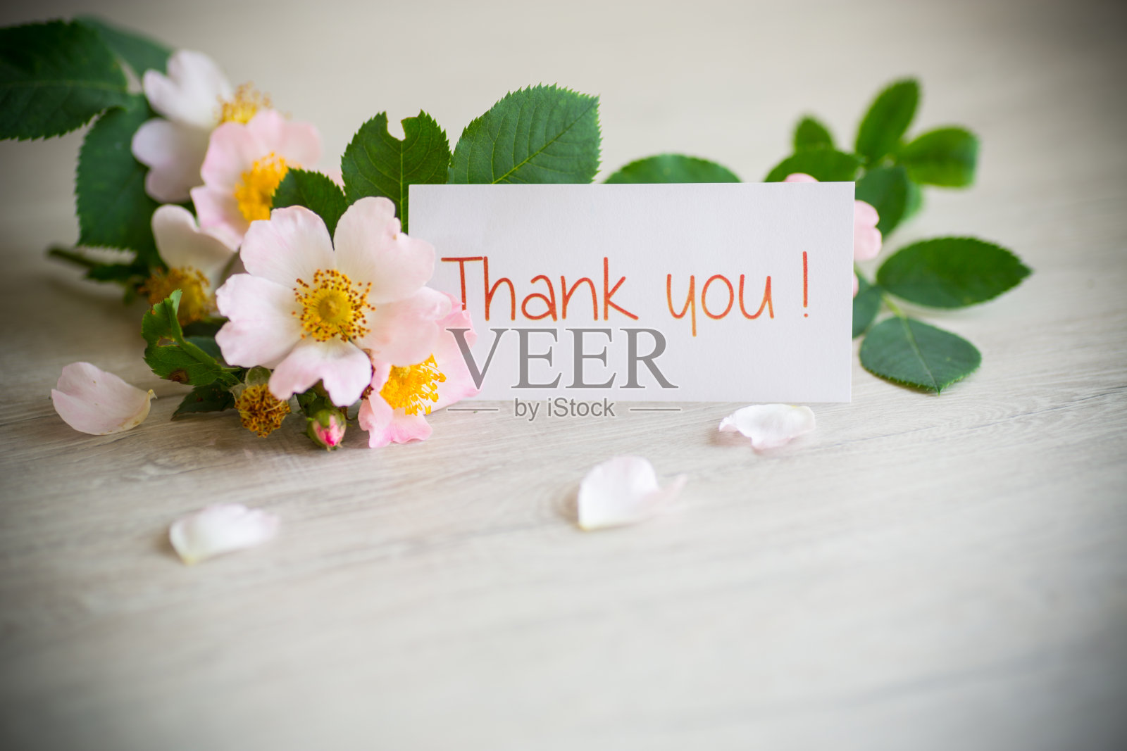 木桌上美丽的粉红色小玫瑰。照片摄影图片