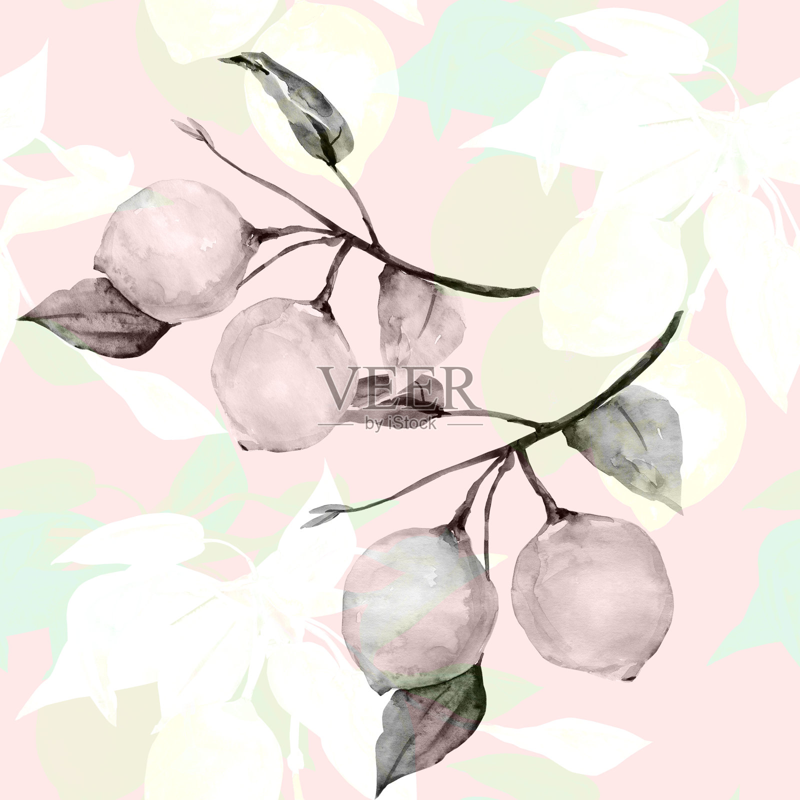 无缝模式柠檬插画图片素材