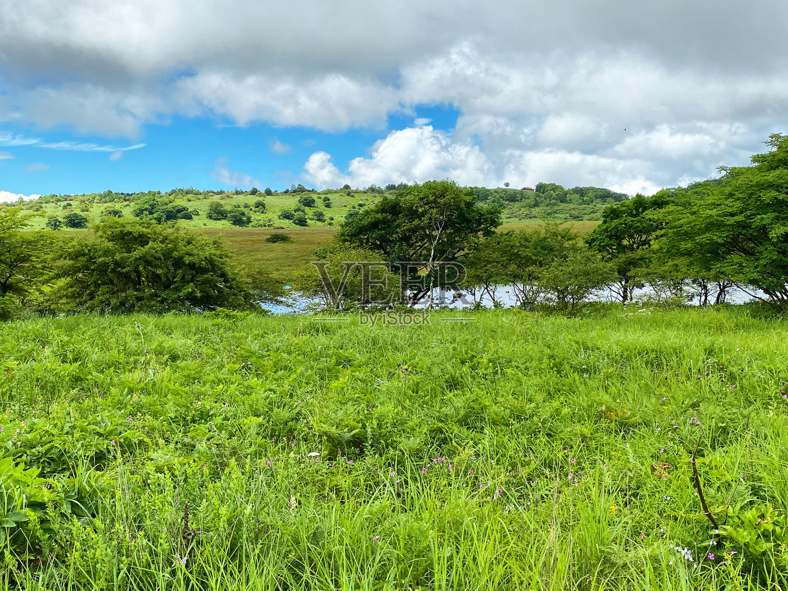 晾干照片摄影图片