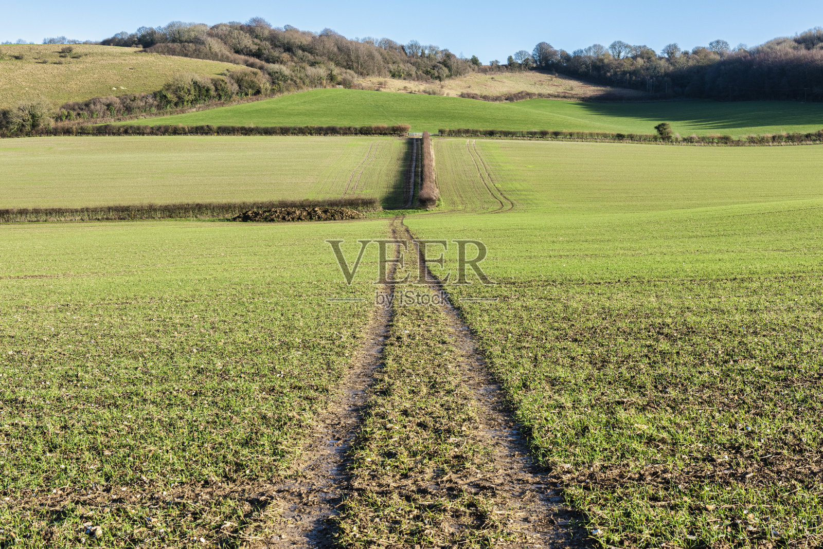 英国肯特郡阿什福德的克朗代尔附近的怀丘陵照片摄影图片