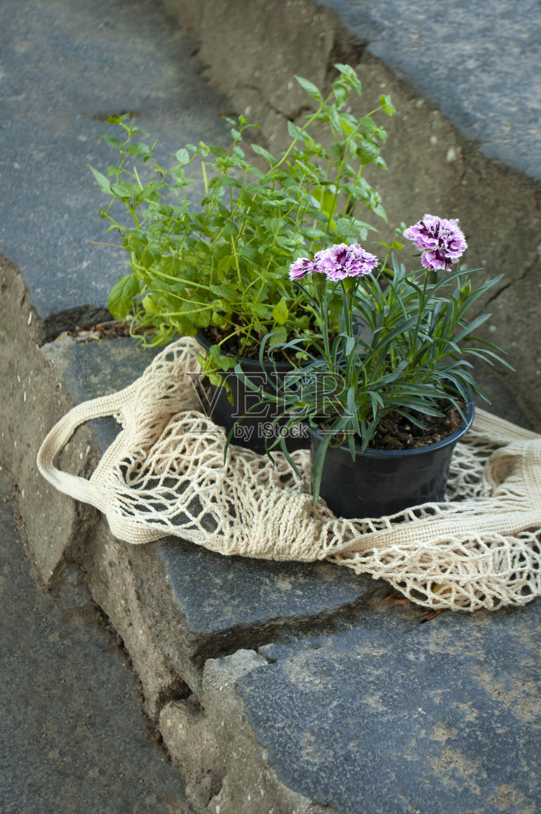 纺织袋与植物在花园里。环保的概念。照片摄影图片