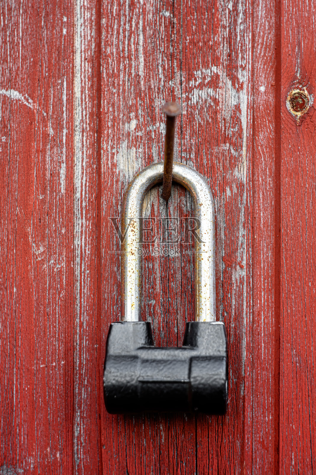 旧木谷仓墙上生锈的挂锁。照片摄影图片