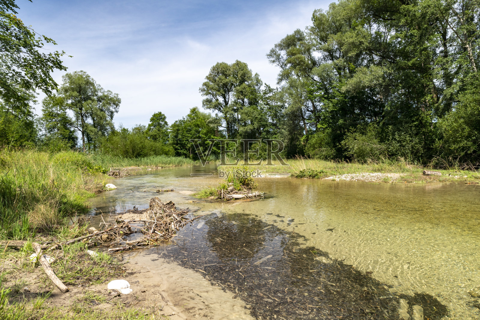 流经森林的德国山涧照片摄影图片