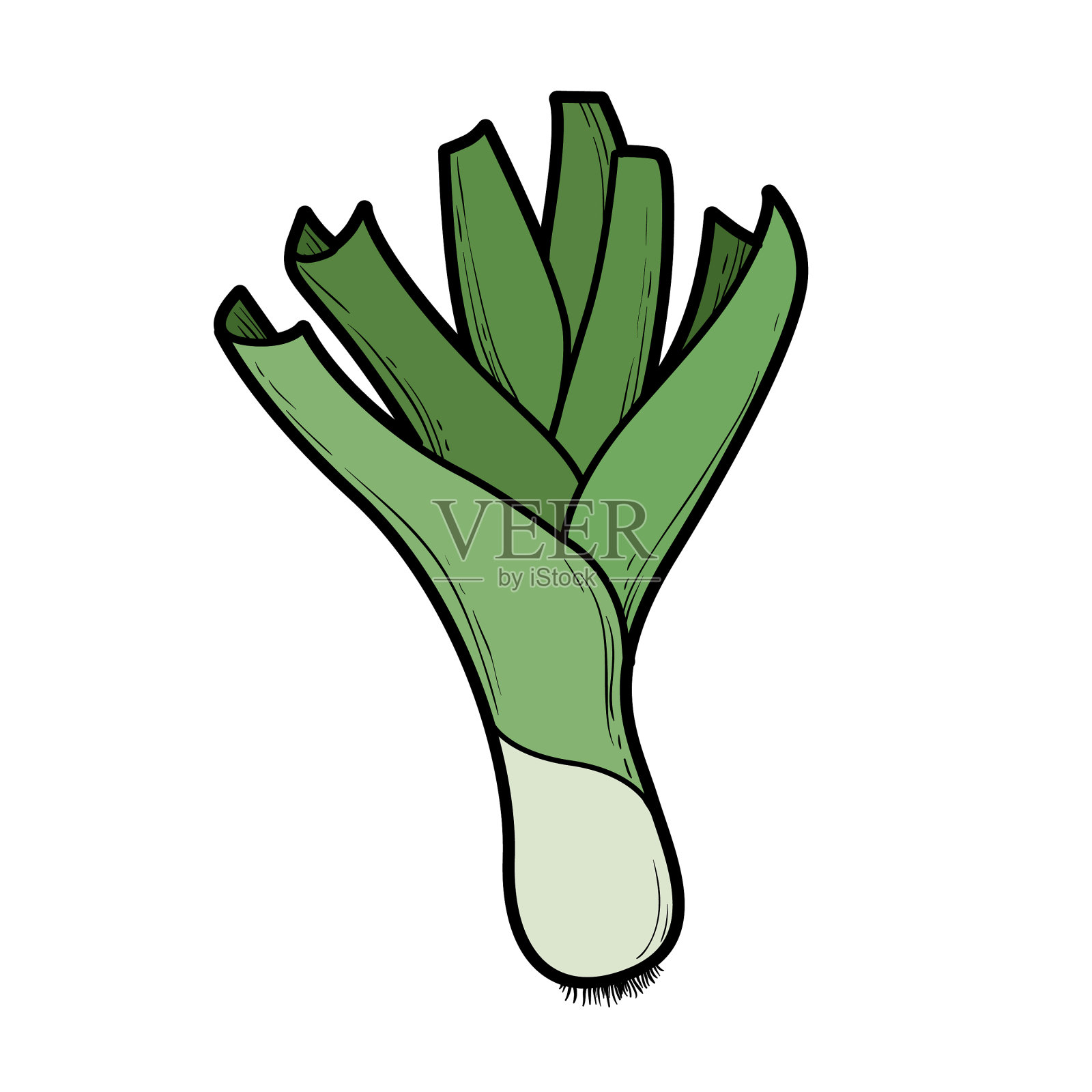 青葱颜色变化为着色页设计元素图片