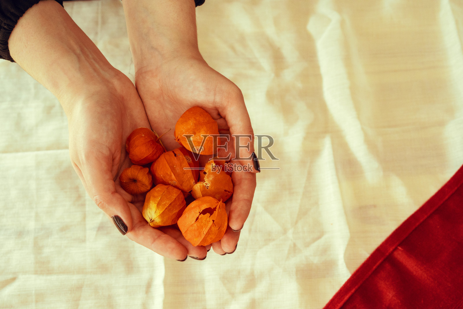 一把酸浆果，从上面看照片摄影图片