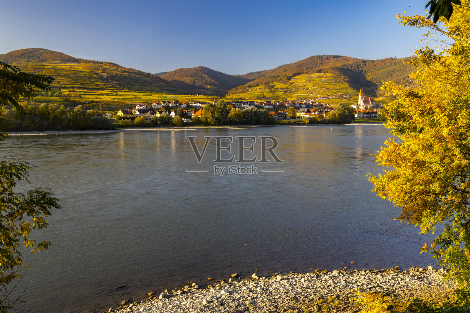奥地利瓦豪地区的秋季葡萄园和斯皮茨照片摄影图片