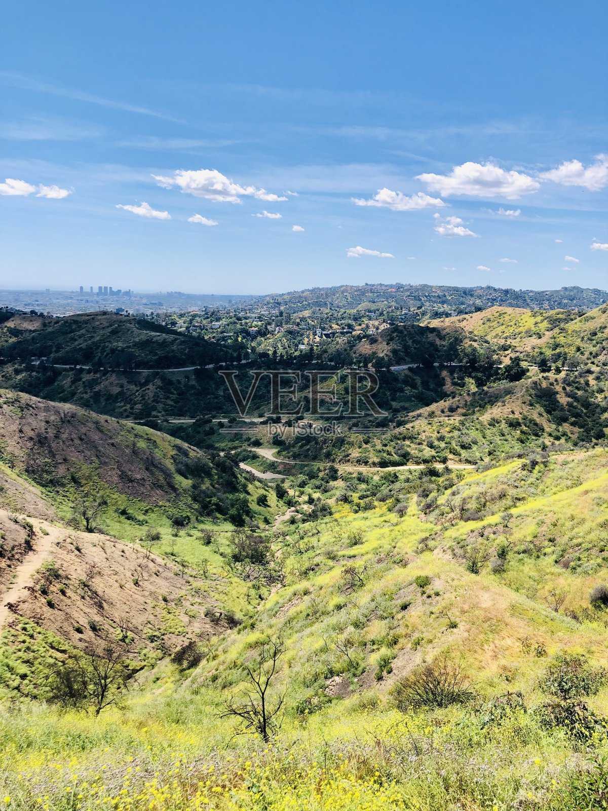 意见的观点照片摄影图片