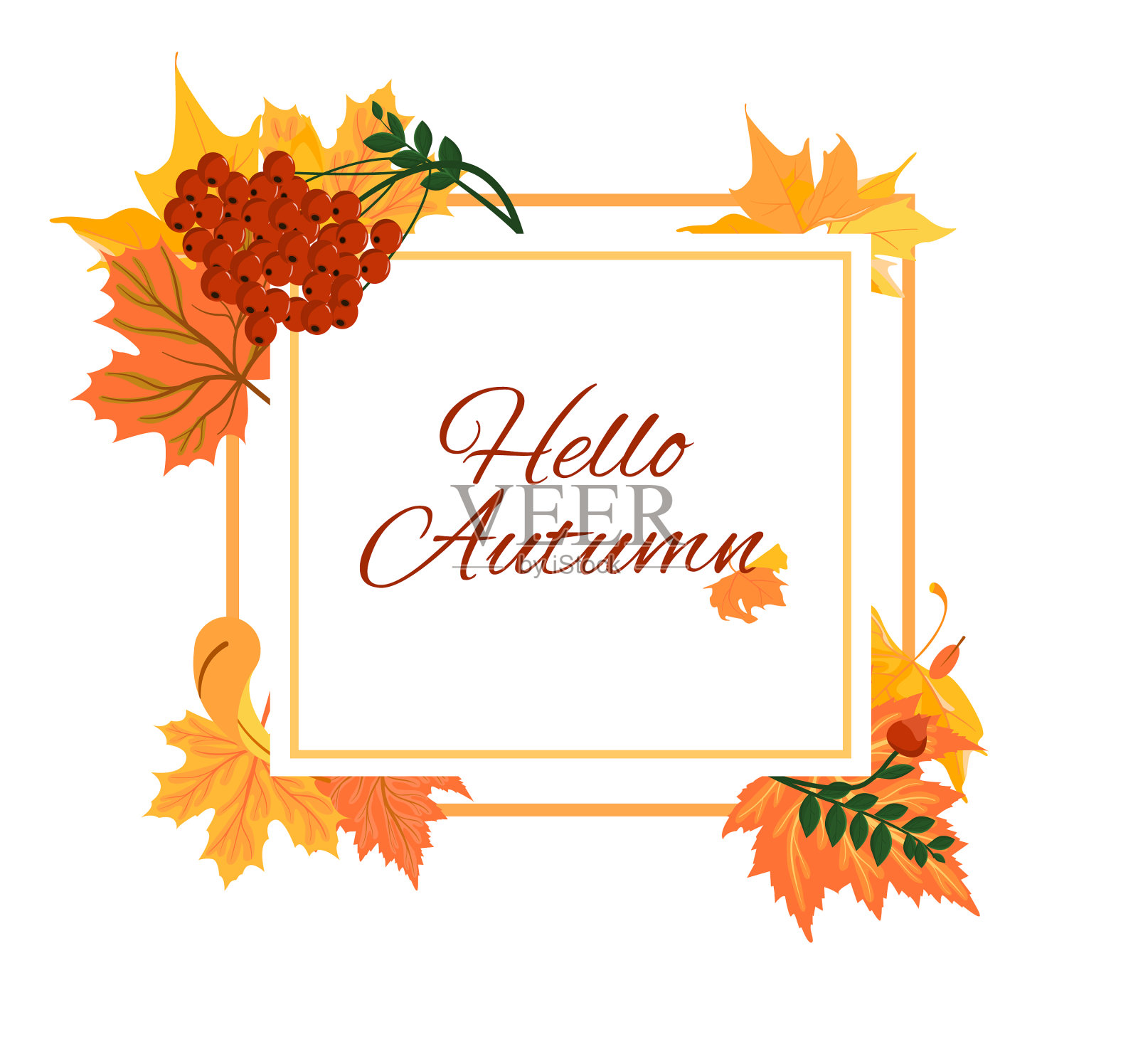 有叶子和花楸的方形框架插画图片素材