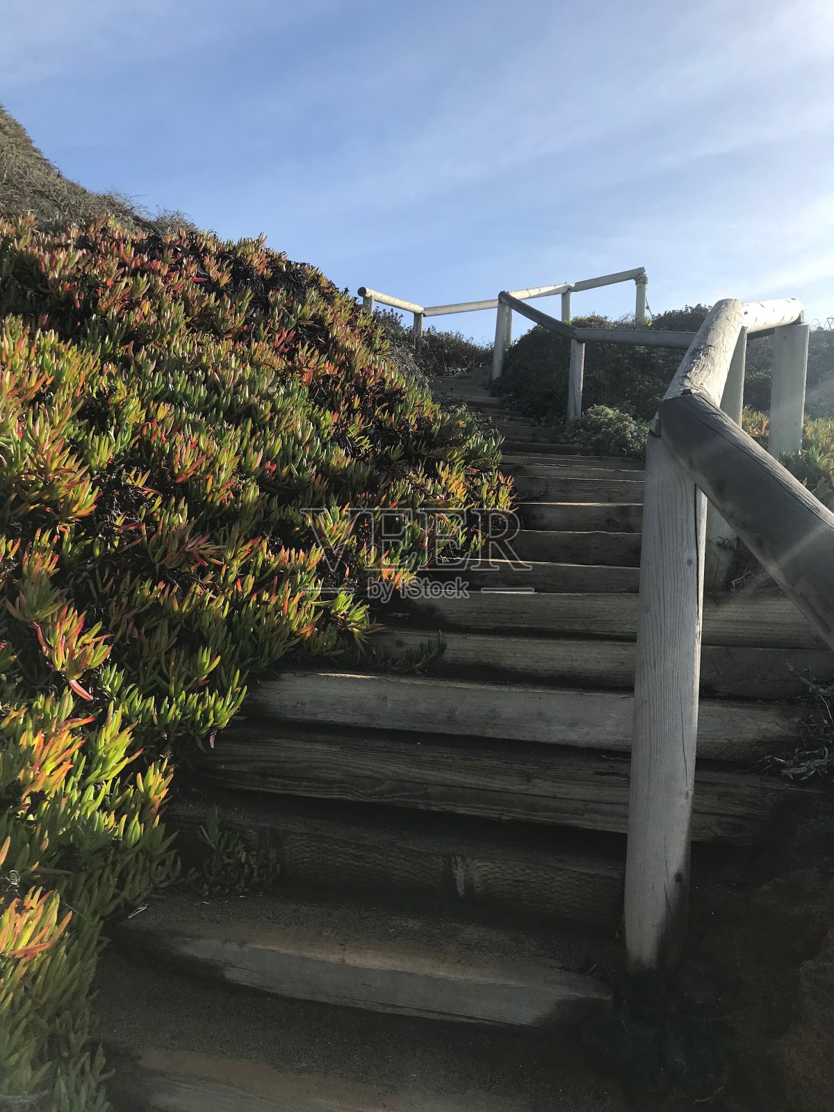 海滩上楼梯照片摄影图片