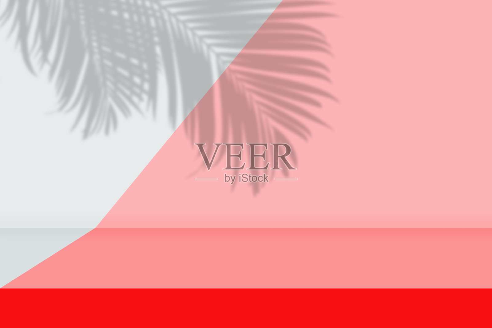 空的工作室房间粉红色和灰色渐变背景与棕榈叶的阴影在墙上。照片摄影图片