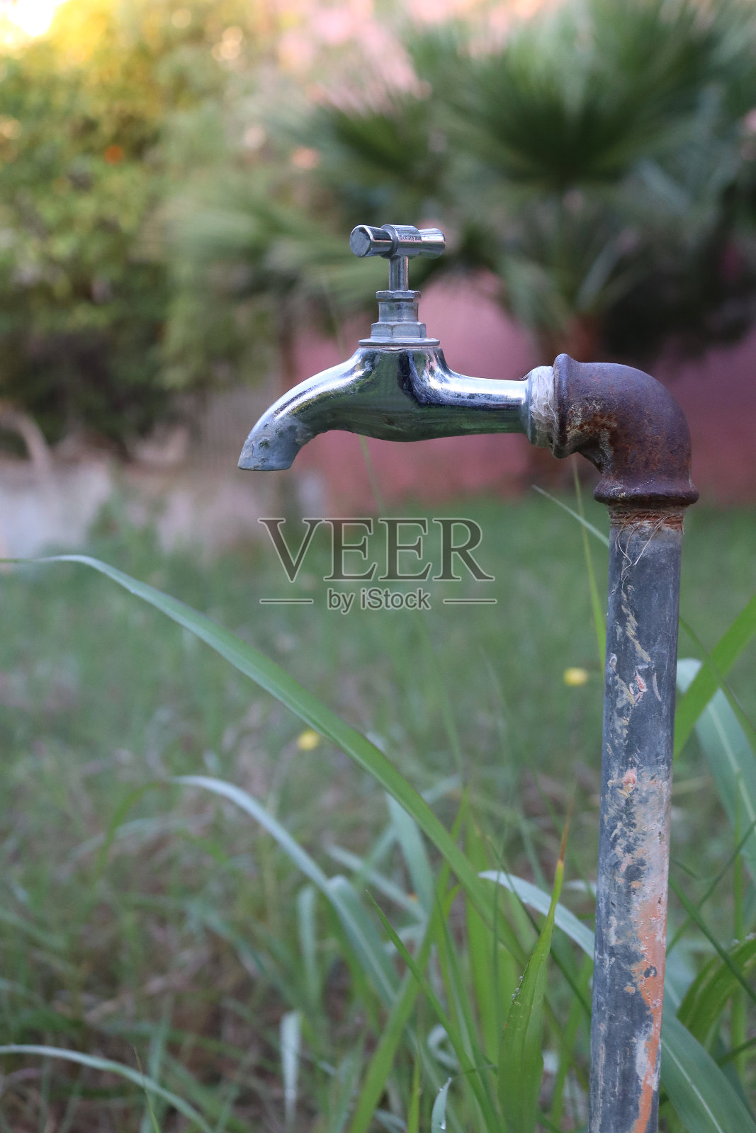 选择性聚焦一个有老旧和乡村管道的闪亮水龙头。草地上的户外水龙头。照片摄影图片