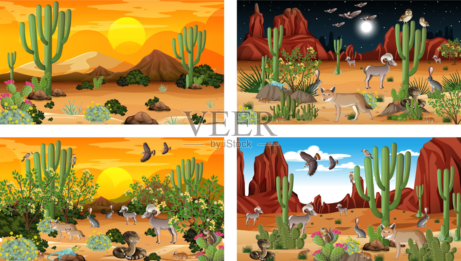 不同场景的沙漠森林景观插画图片素材