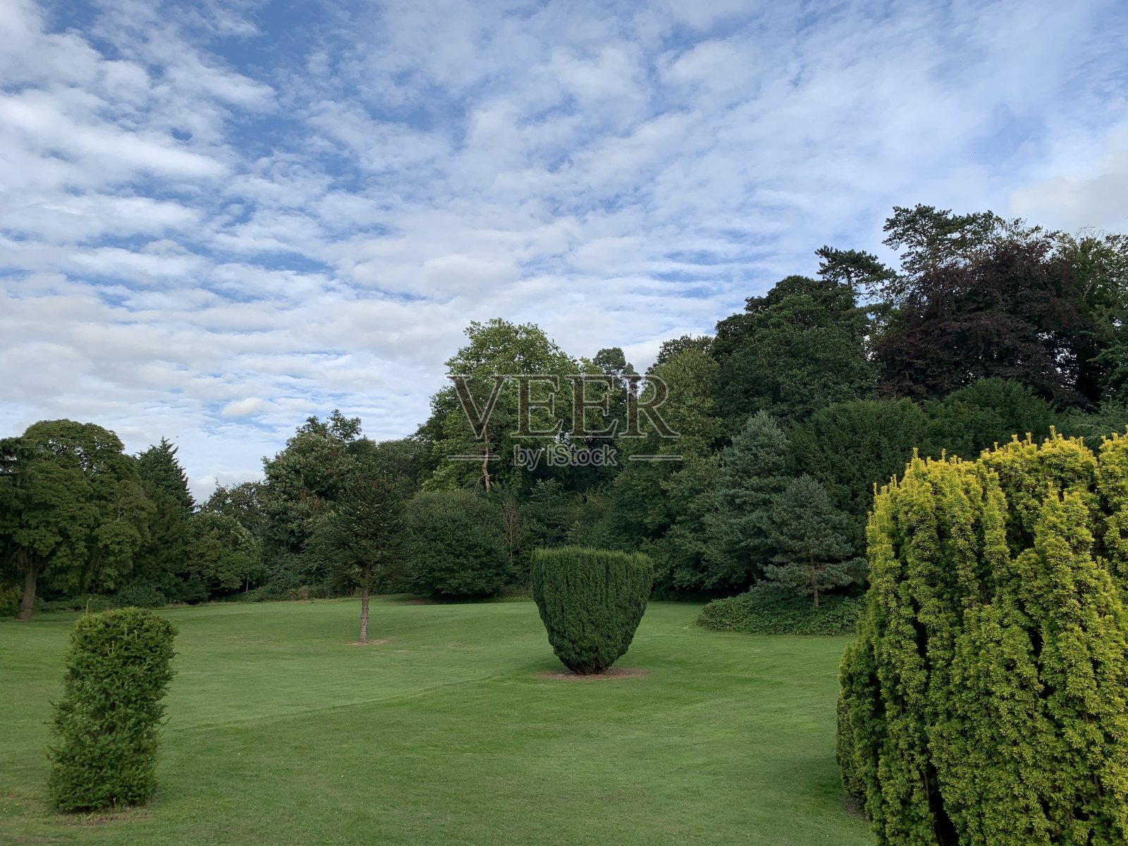 一个美丽的英语公共公园。照片摄影图片