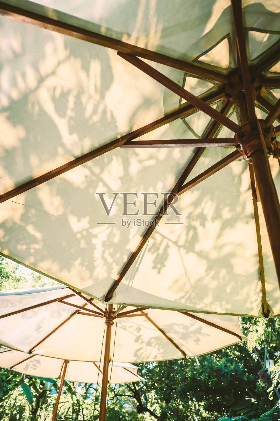 白伞伞花园家具照片摄影图片