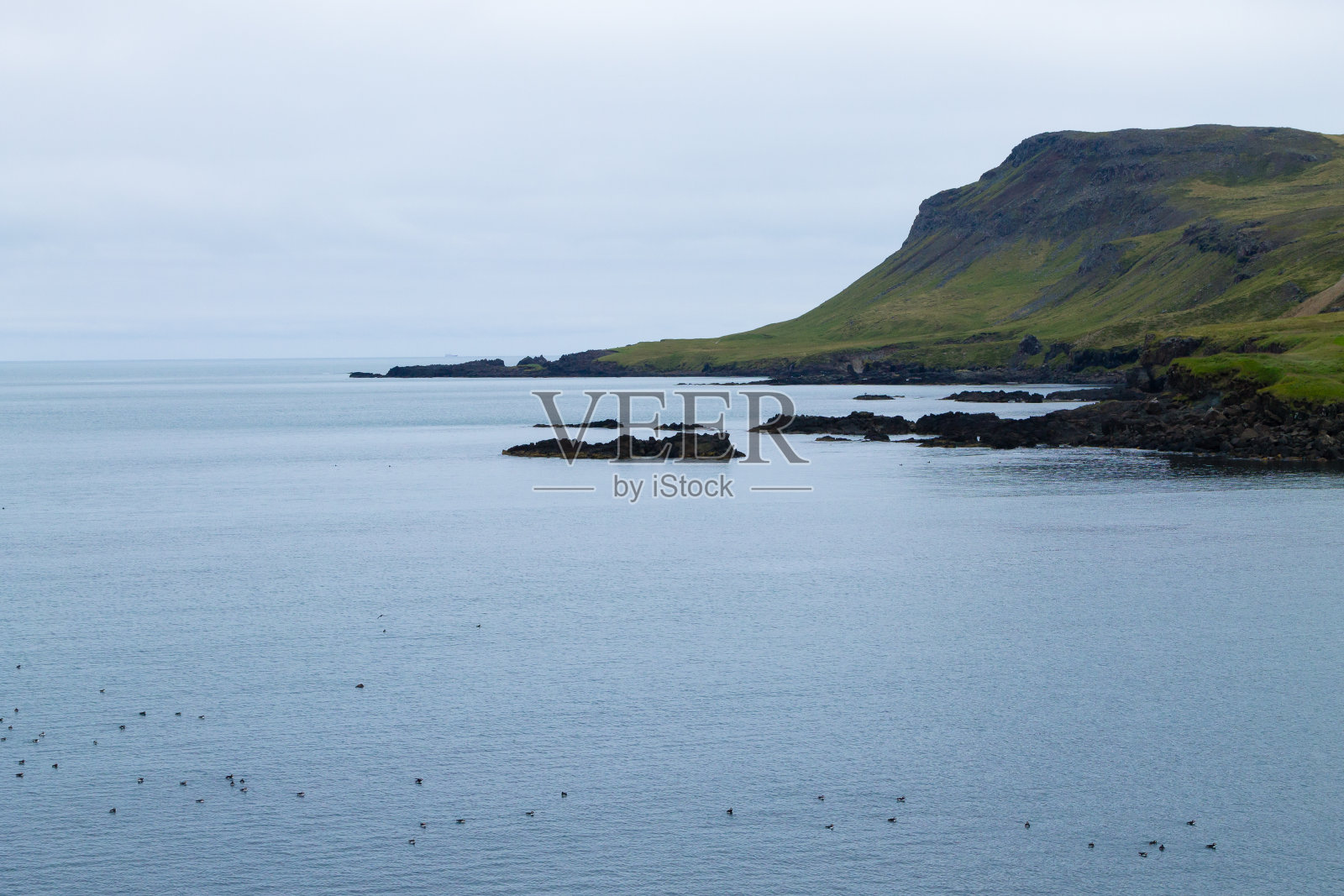 冰岛东部的Borgarfjordur峡湾。冰岛的视图照片摄影图片
