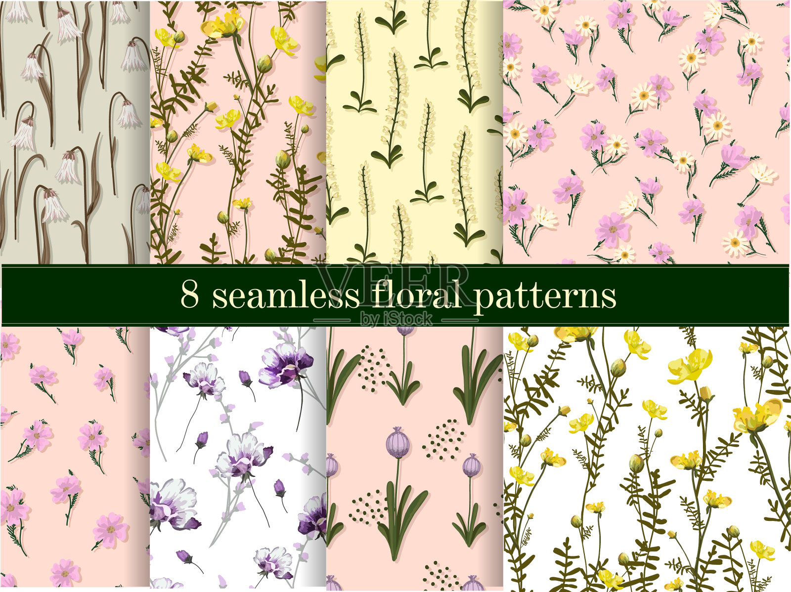 一套精致的花卉图案集合插画图片素材