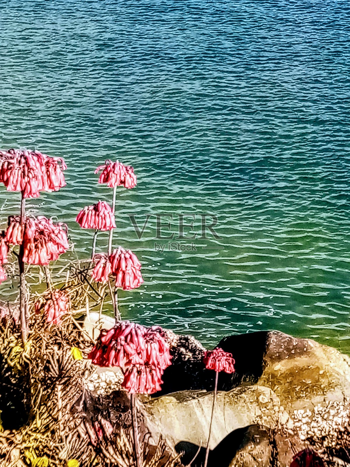 休息时间照片摄影图片