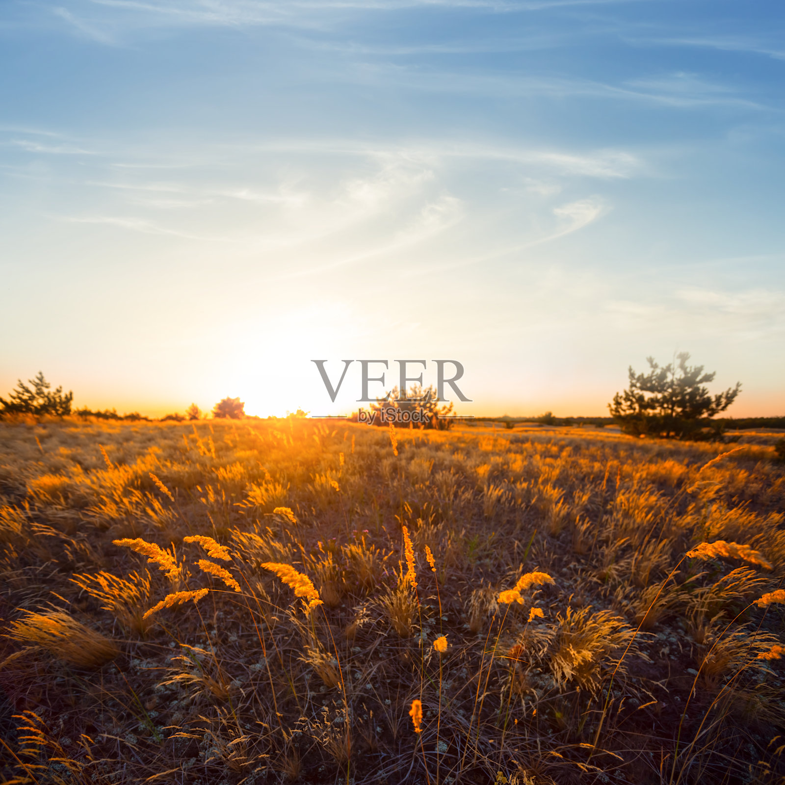 夕阳下的沙质草原，傍晚的沙漠风光照片摄影图片