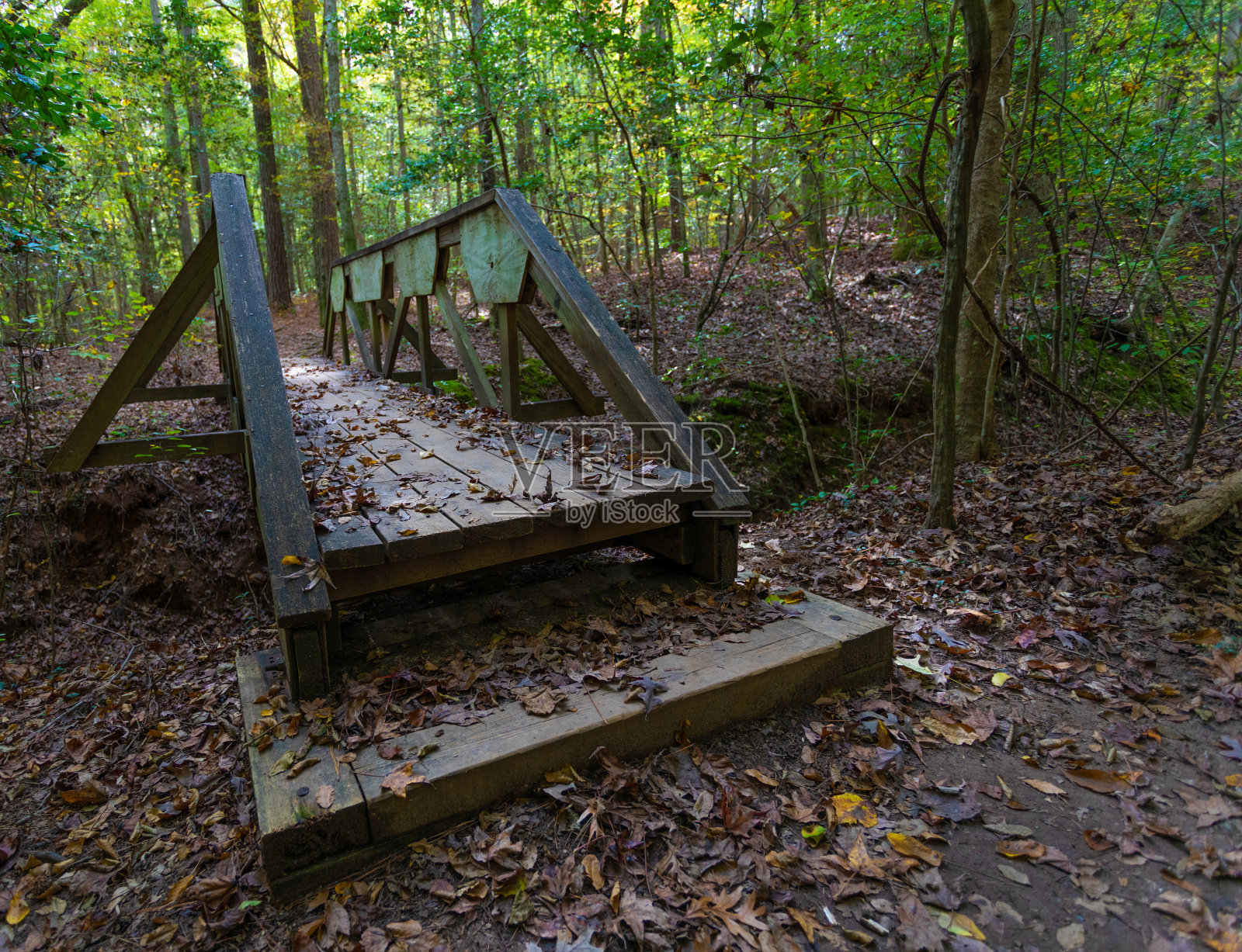 森林中的小桥照片摄影图片