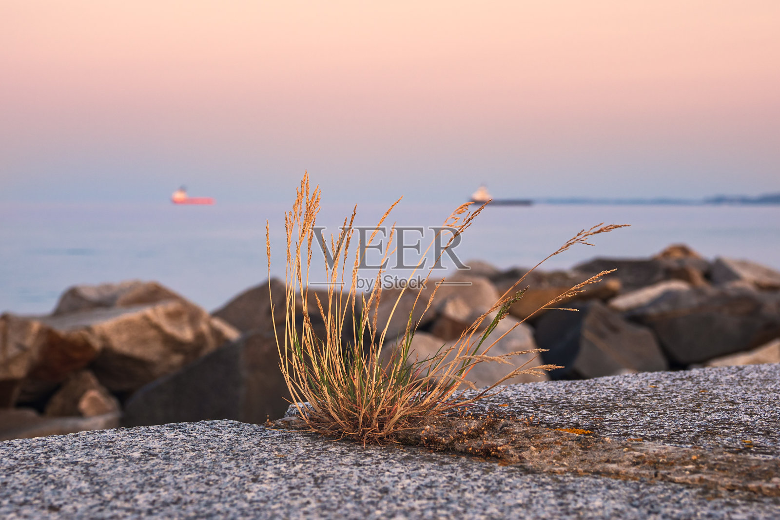 德国萨斯尼茨码头上的跪垫照片摄影图片