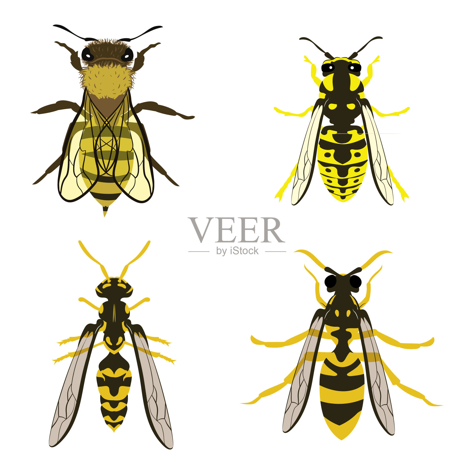 大集合的蜜蜂黄蜂黄色夹克黄蜂矢量插图填充和轮廓隔离的白色背景插画图片素材